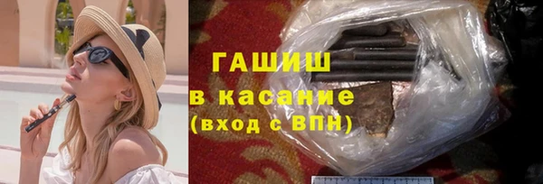 гидра Богородицк