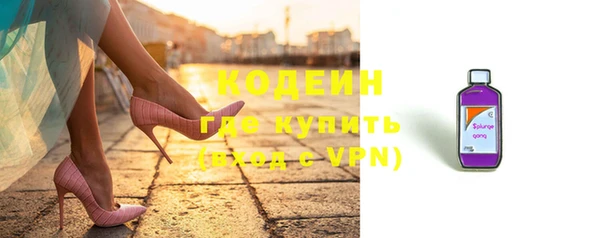 гидра Богородицк