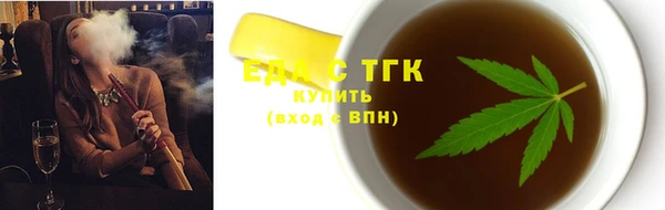 гидра Богородицк