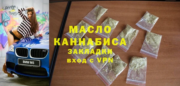 гидра Богородицк