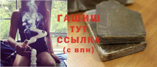 гидра Богородицк