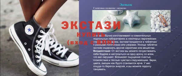гидра Богородицк